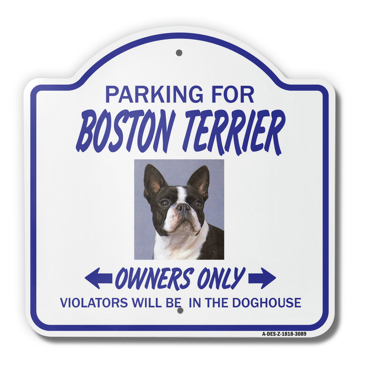 Boston Terrier