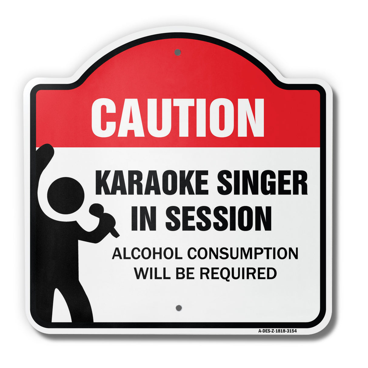 Karaoke Singer In Session