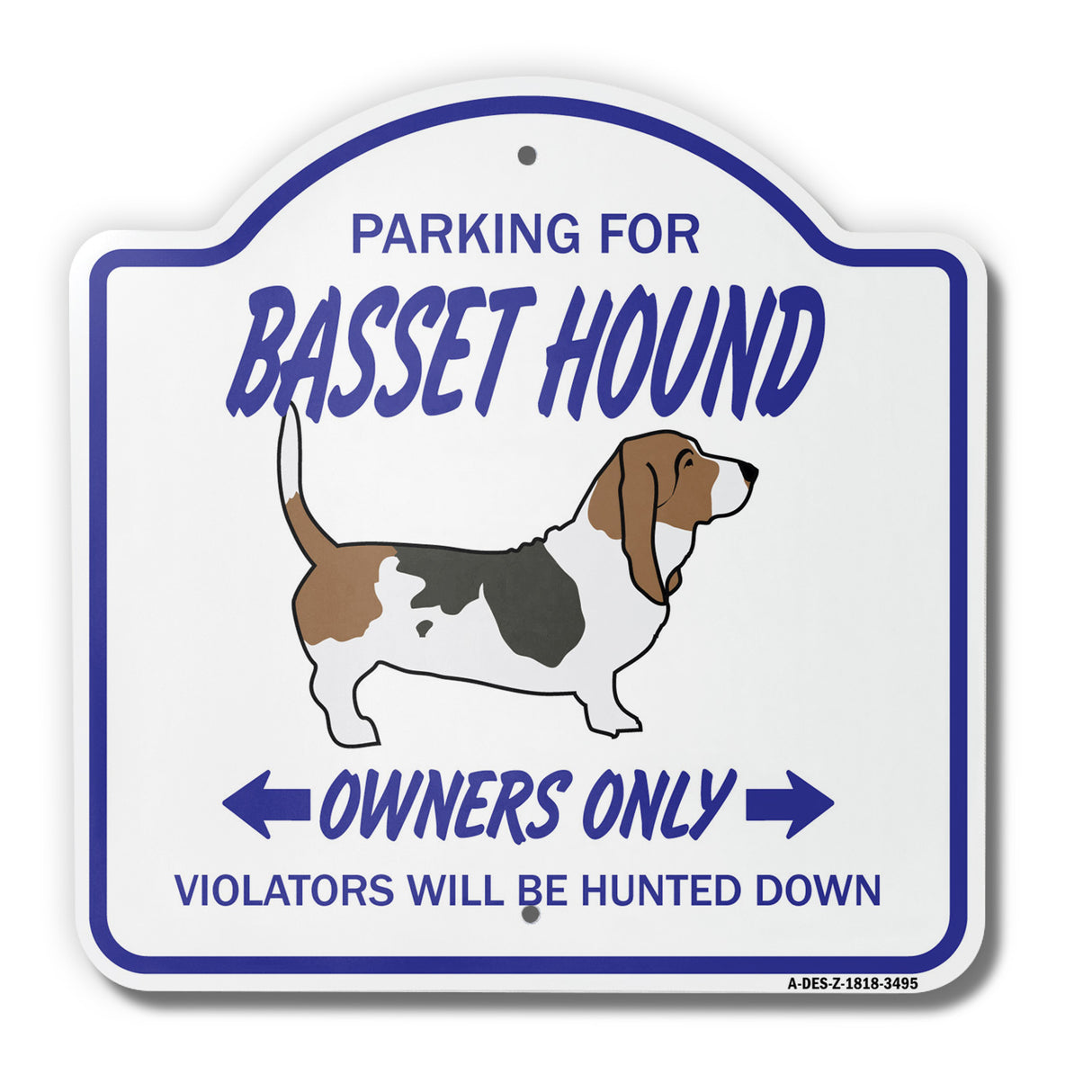 Basset Hound
