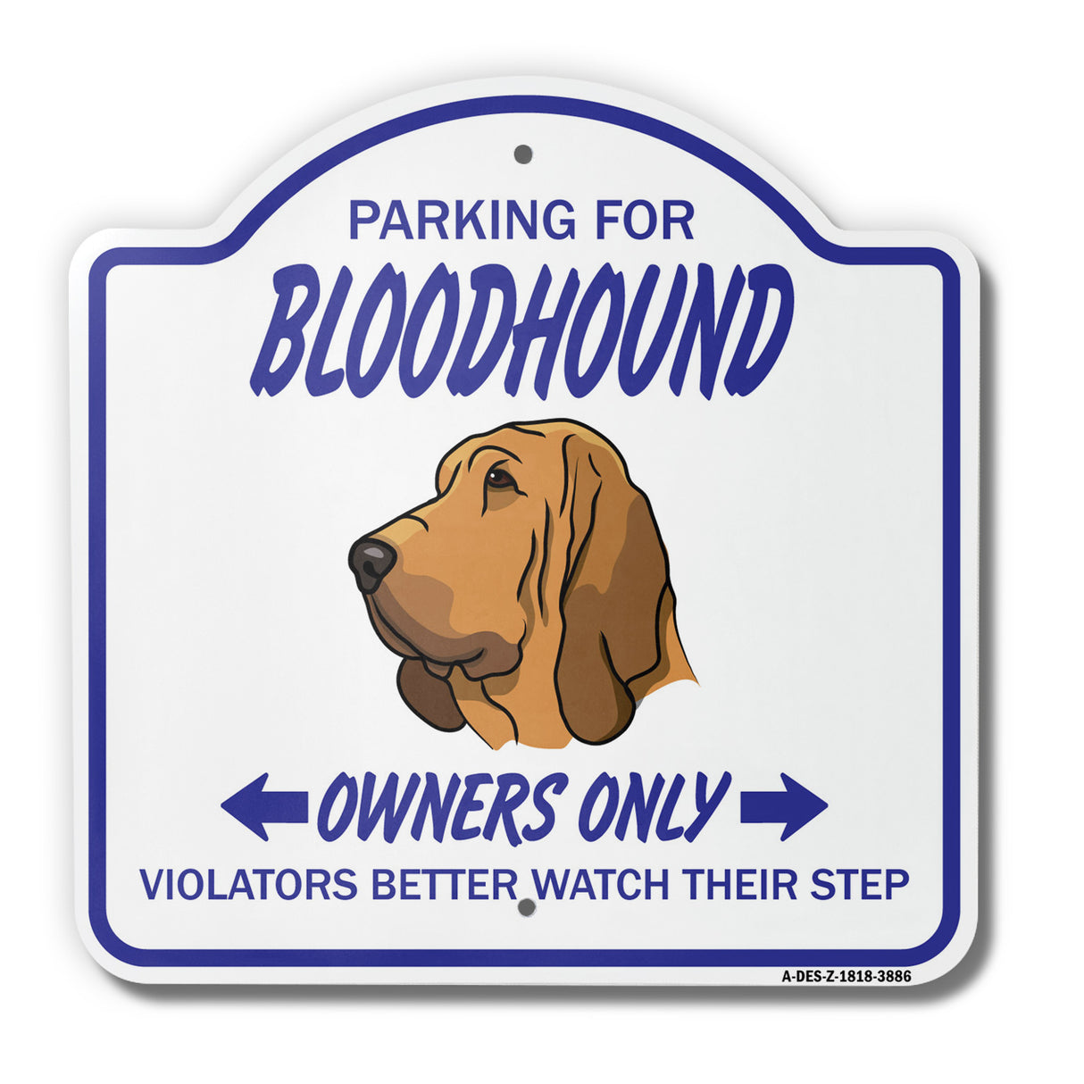 Bloodhound