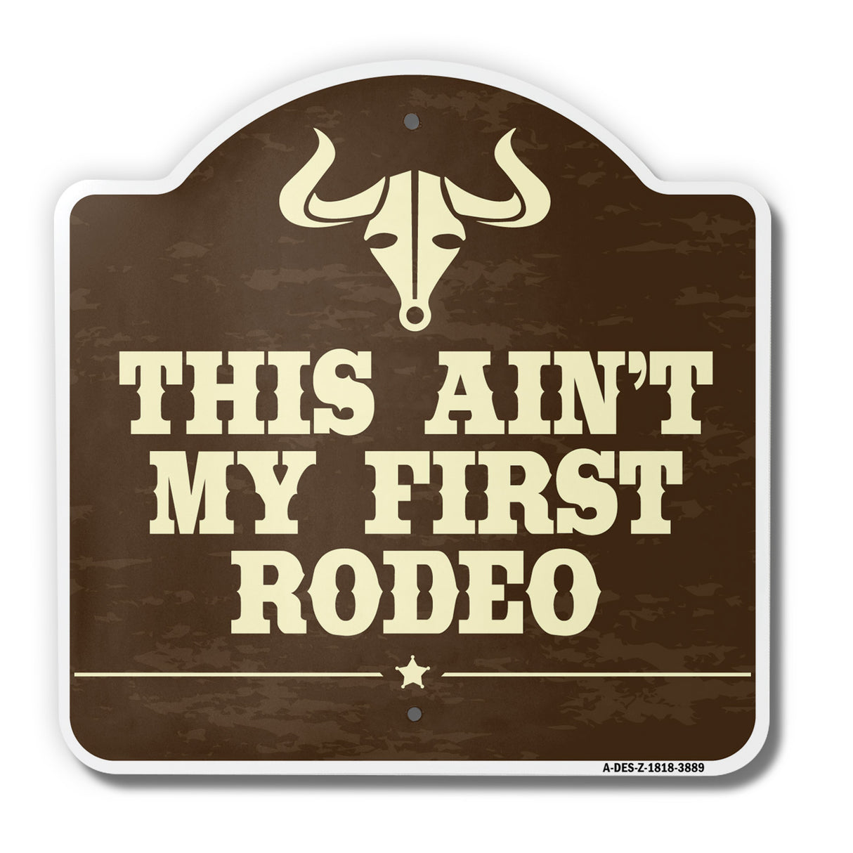 This Aint My First Rodeo