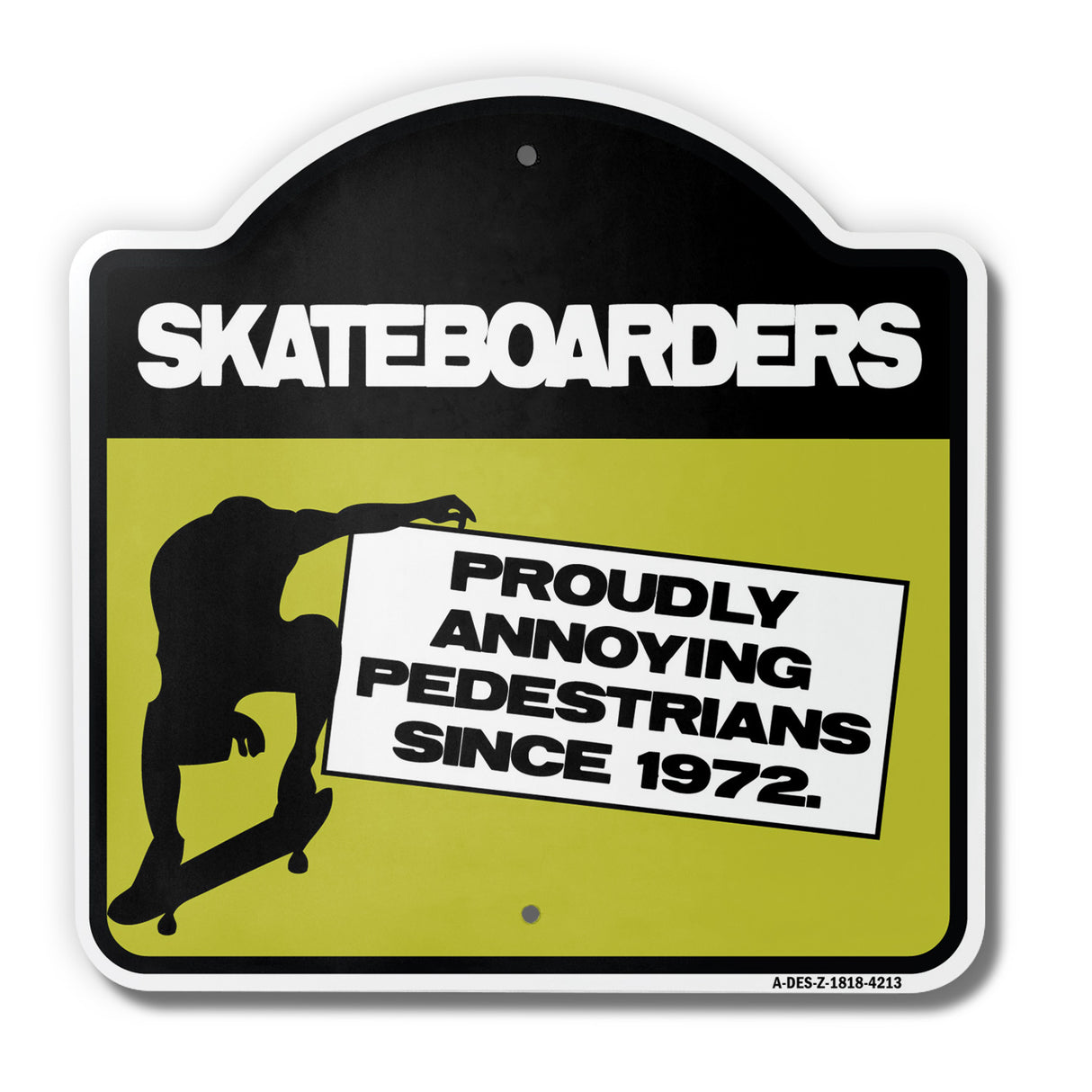 Skateboarders Annoying Pedestrians