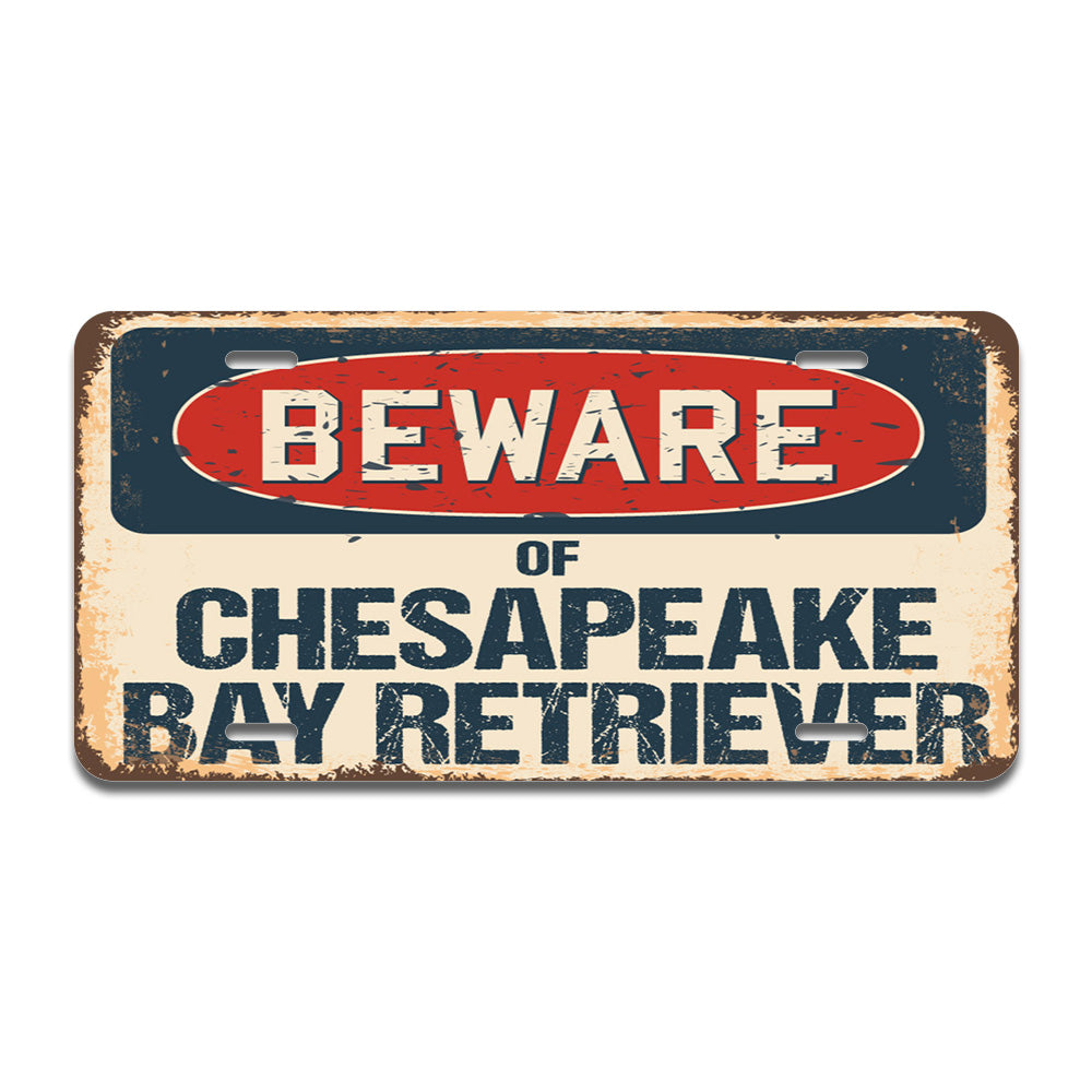 Beware of Chesapeake Bay Retriever