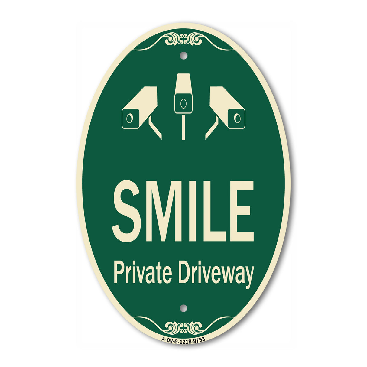 Smile Private Driveway With Video Surveillance Camera Graphics