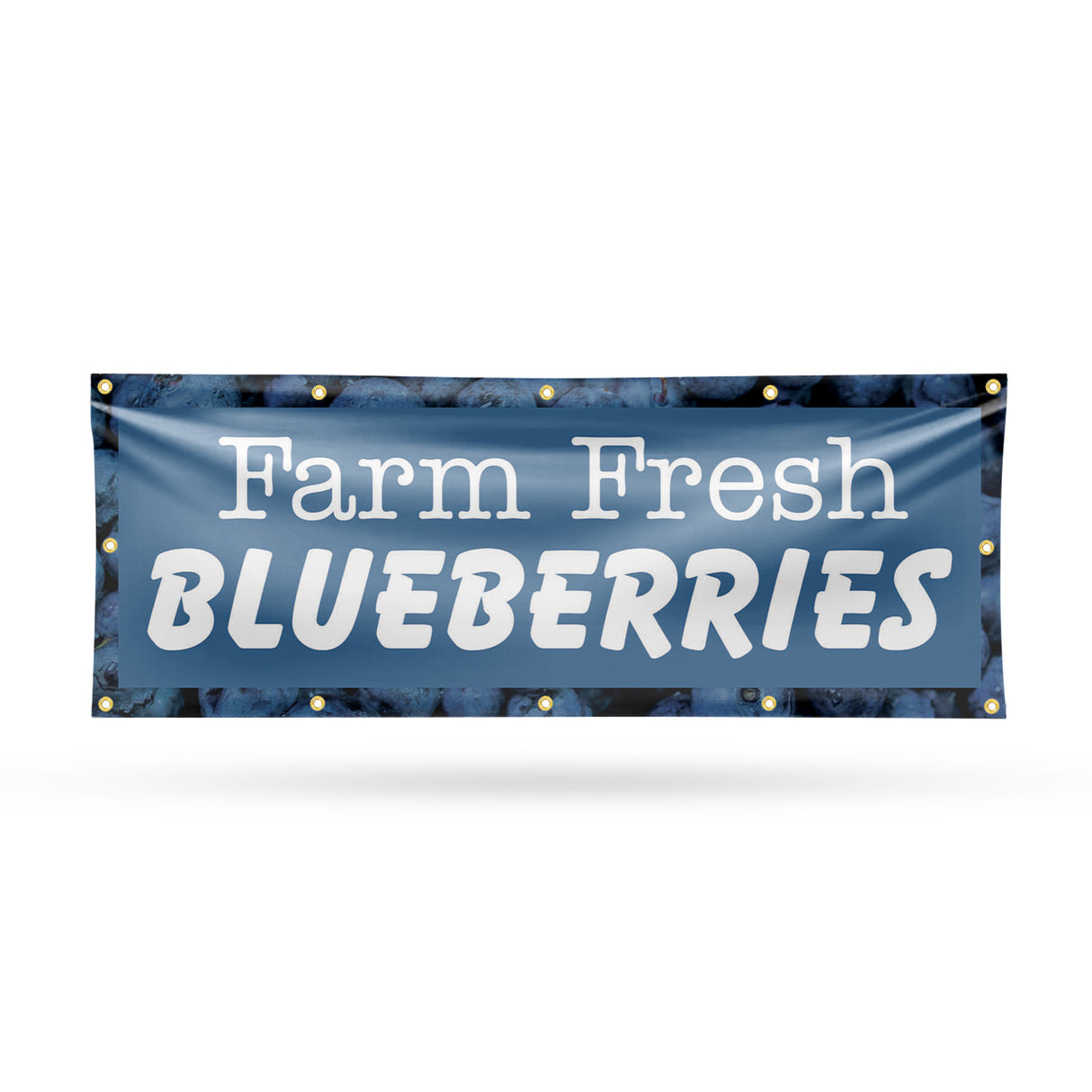 Farm Fresh Blueberries Banner