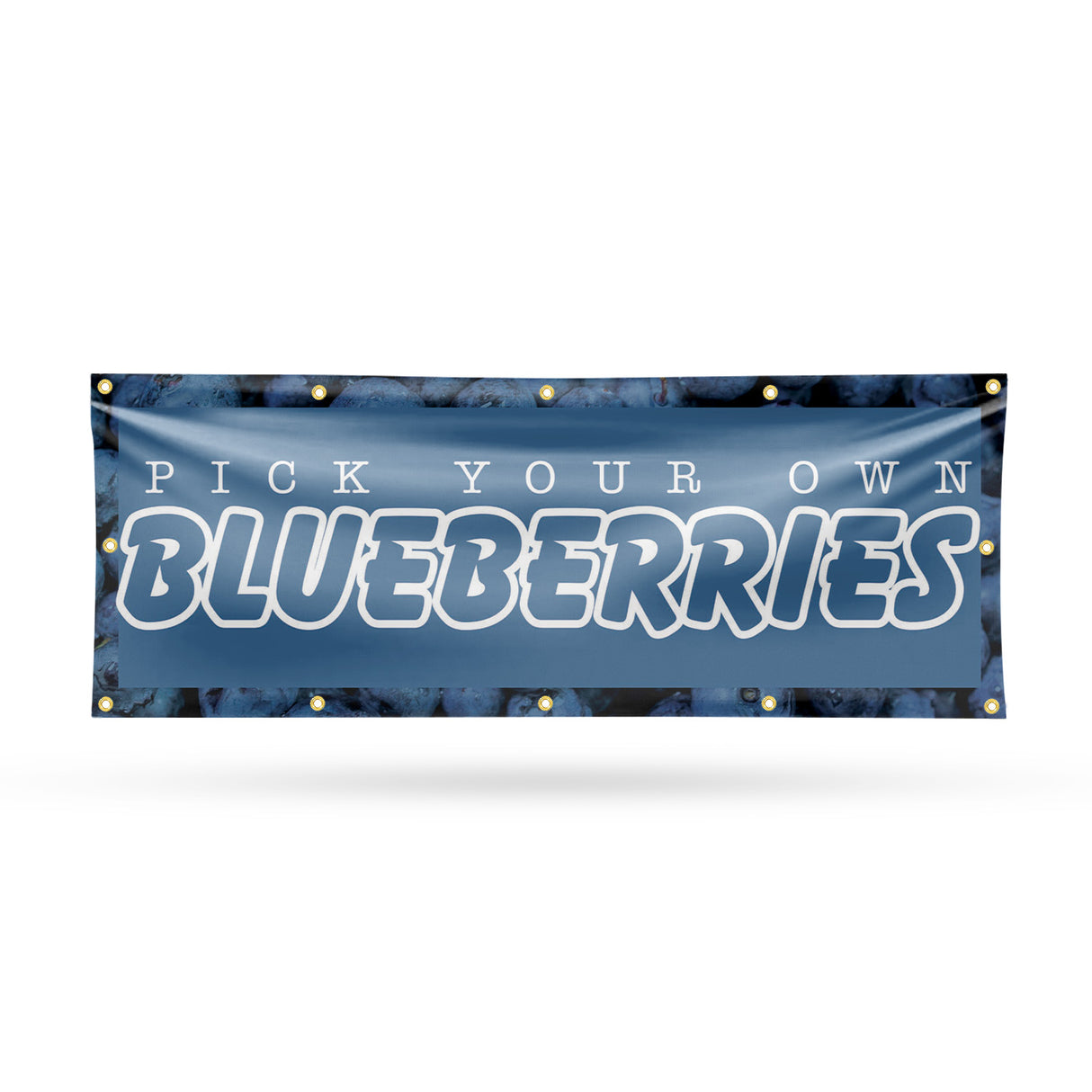 Pick Your Own Blueberries Banner