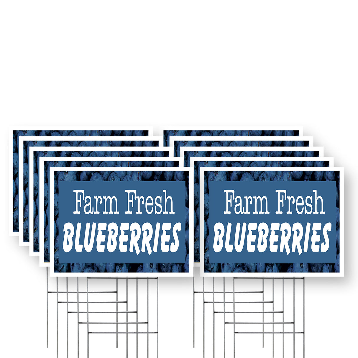Farm Fresh Blueberries