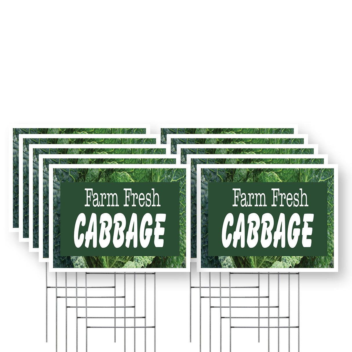 Farm Fresh Cabbage