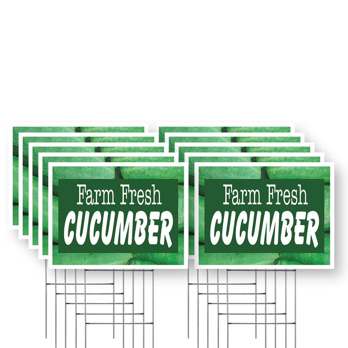Farm Fresh Cucumber
