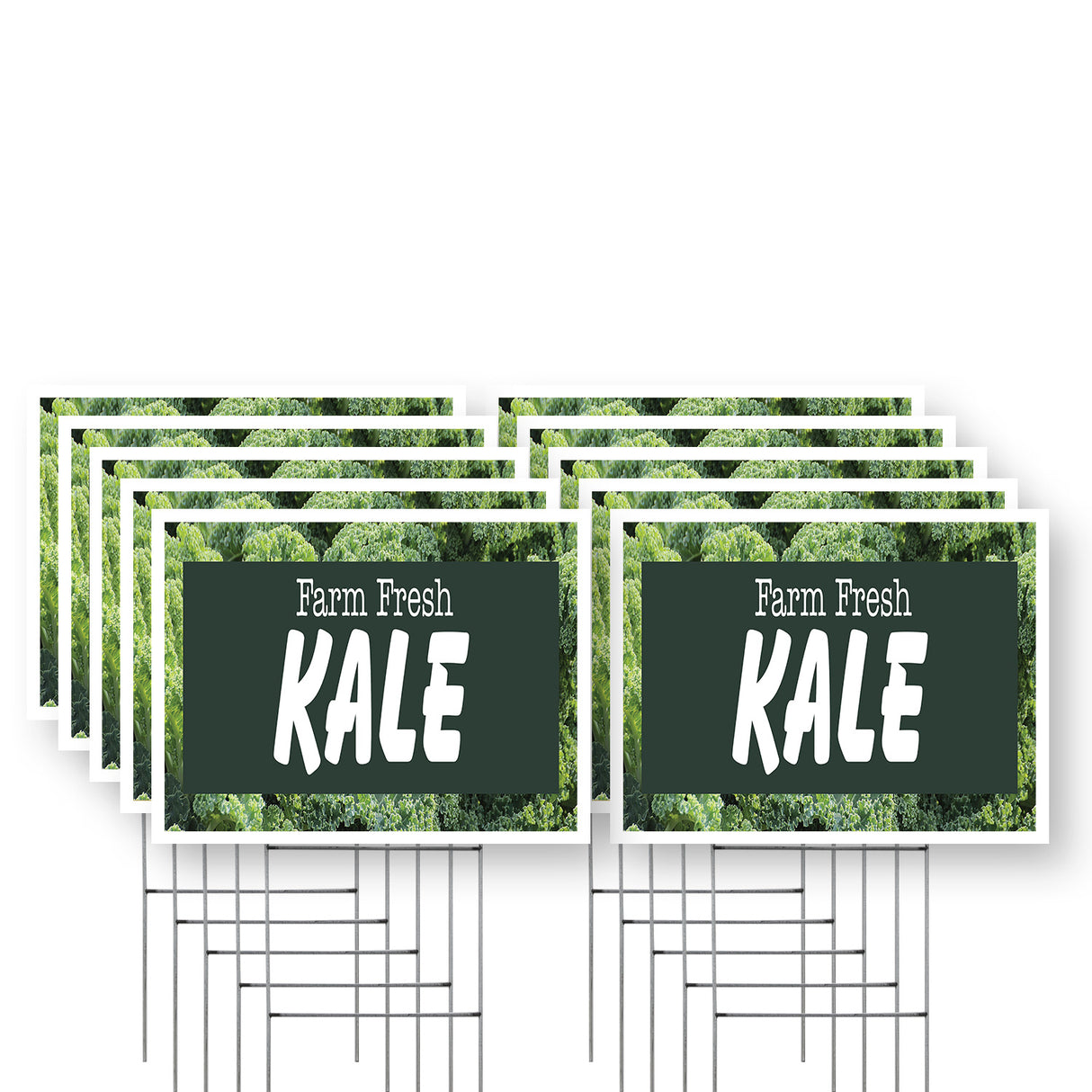 Farm Fresh Kale