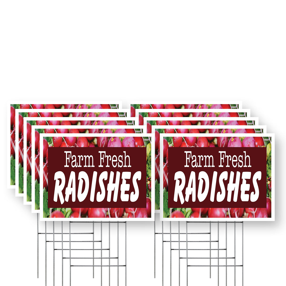 Farm Fresh Radishes