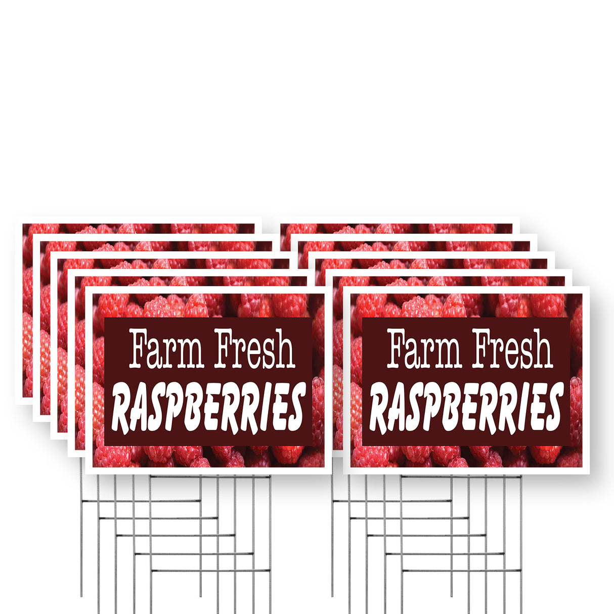 Farm Fresh Raspberries