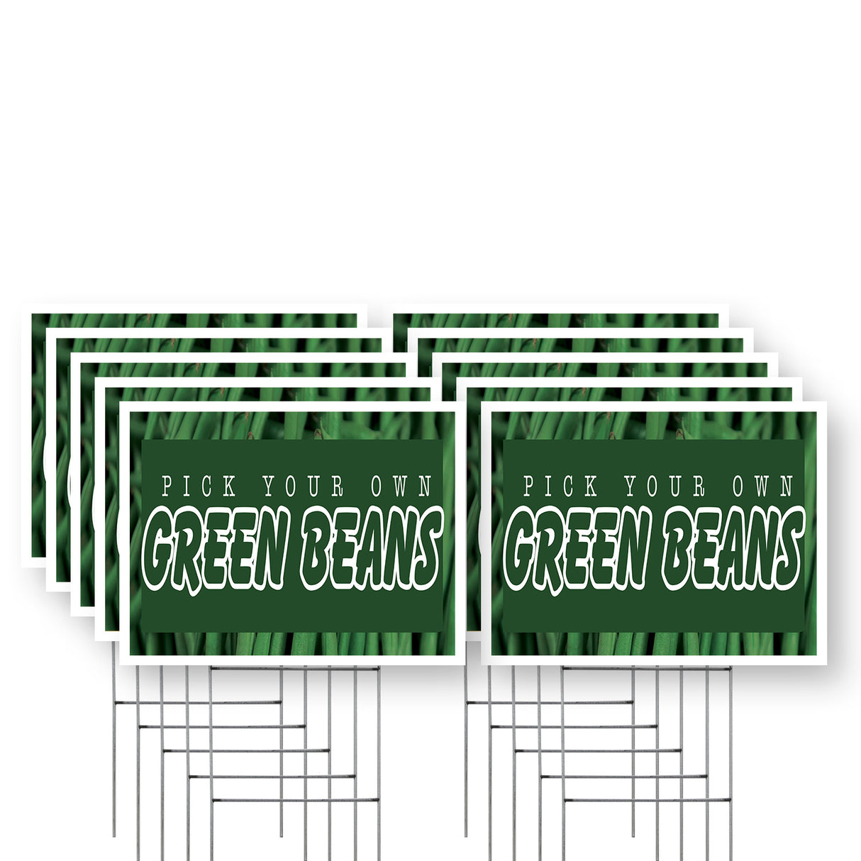 Pick Your Own Green Beans