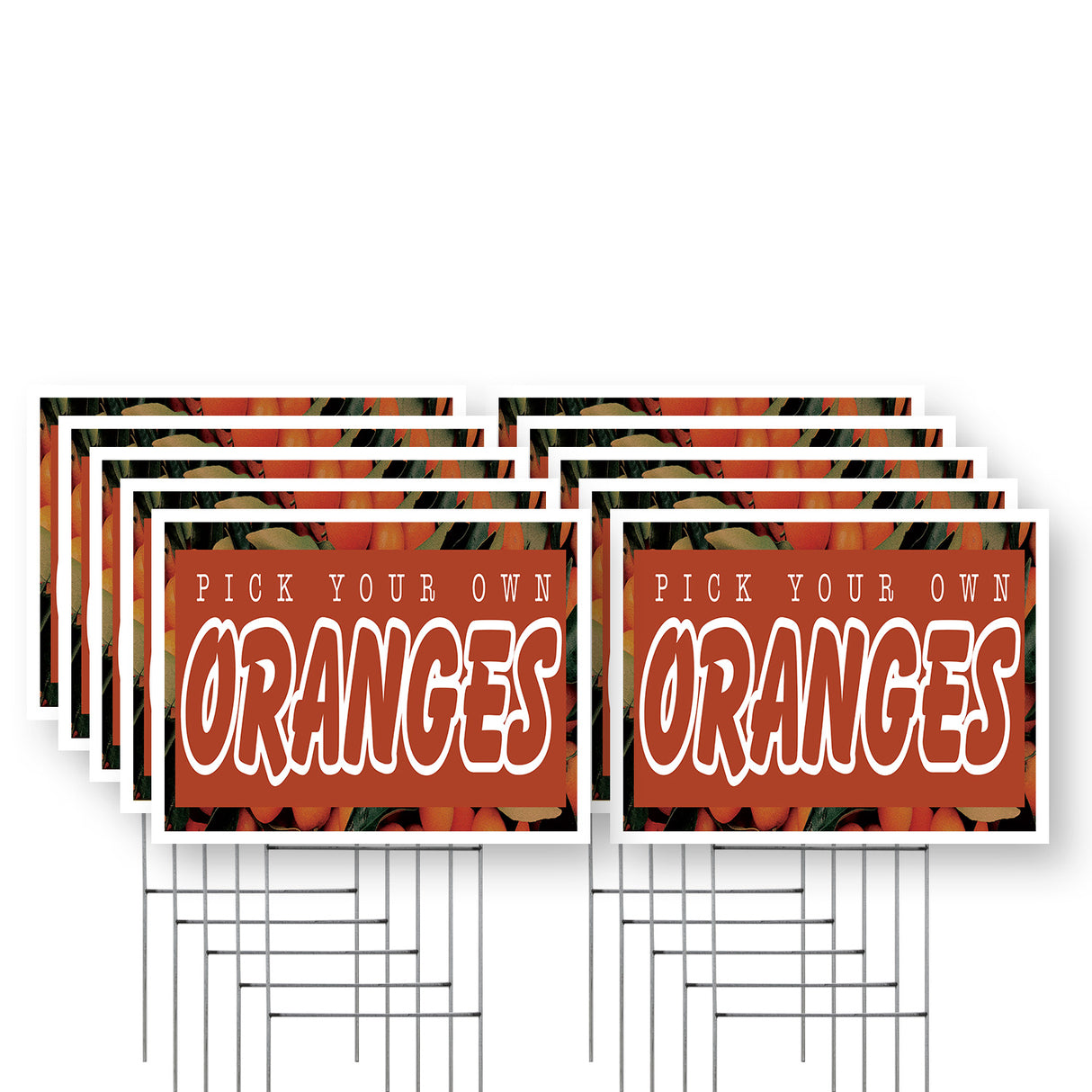 Pick Your Own Oranges