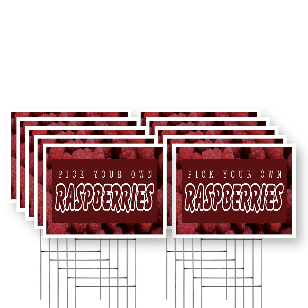 Pick Your Own Raspberries