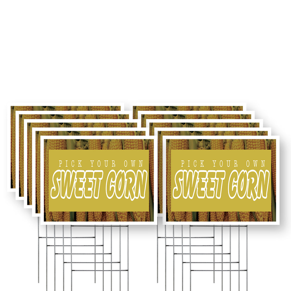 Pick Your Own Sweet Corn