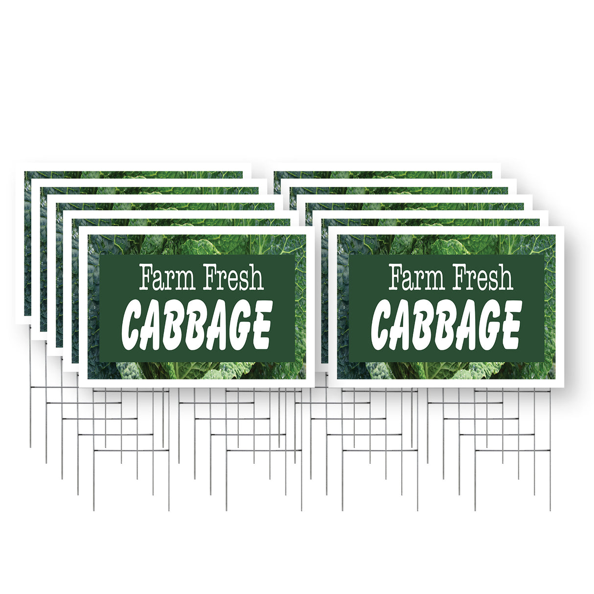 Farm Fresh Cabbage