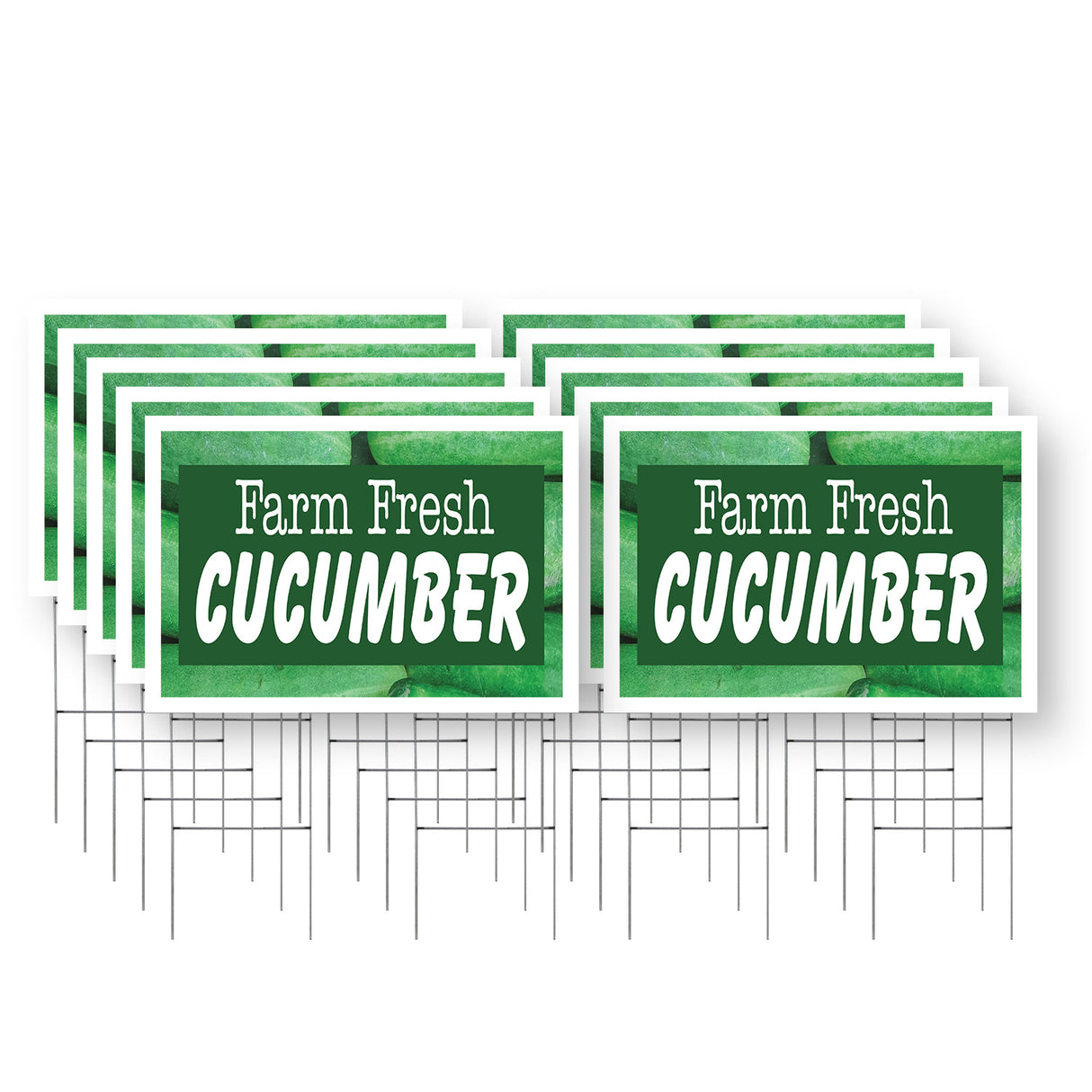 Farm Fresh Cucumber