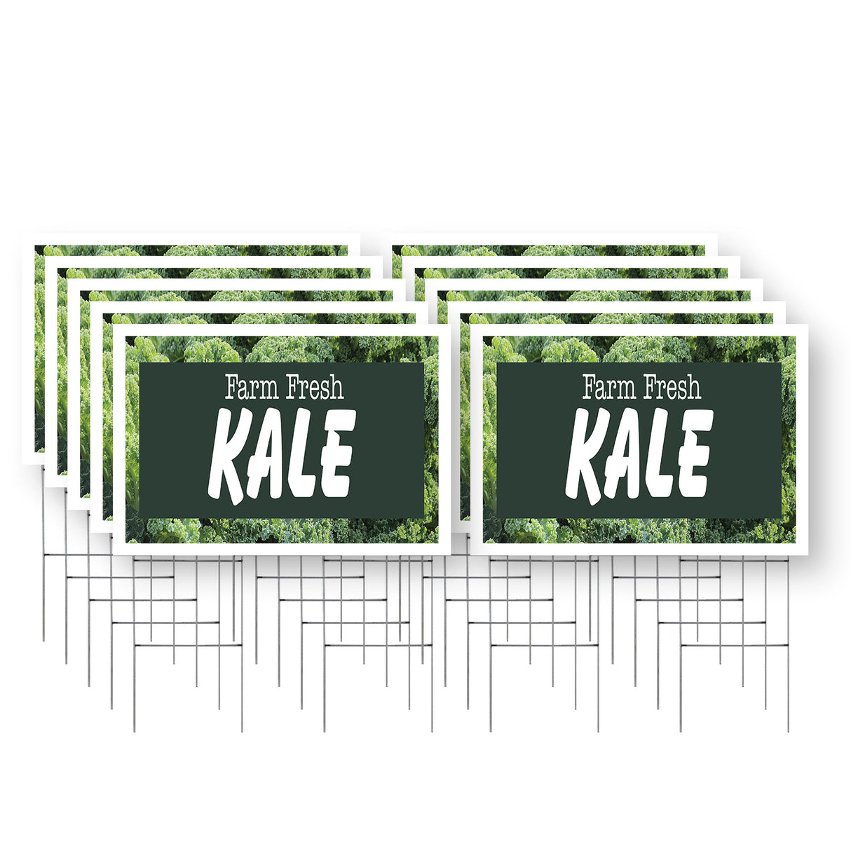Farm Fresh Kale