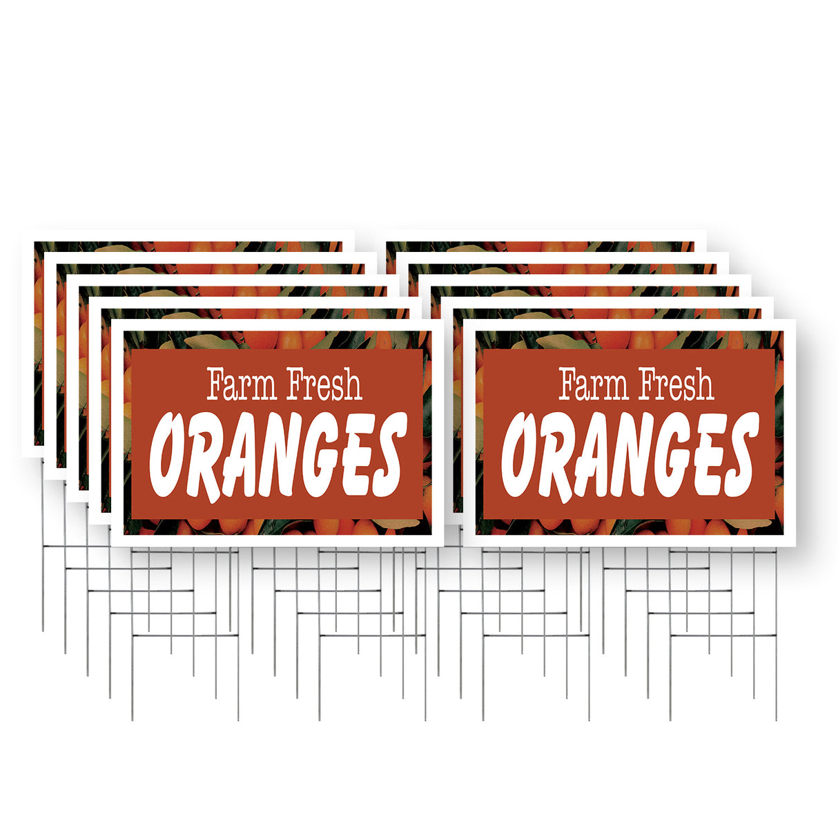 Farm Fresh Oranges