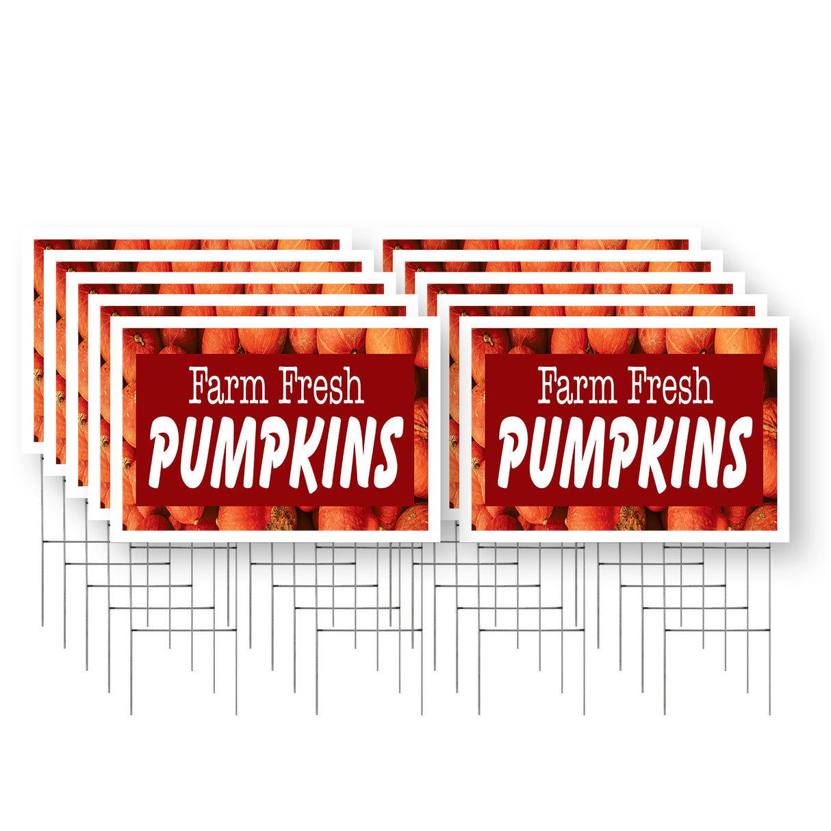 Farm Fresh Pumpkins