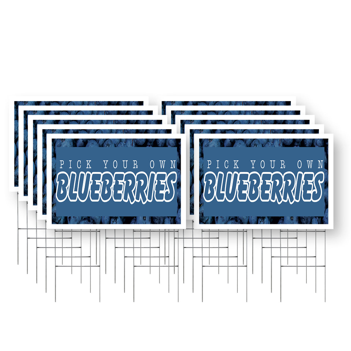 Pick Your Own Blueberries