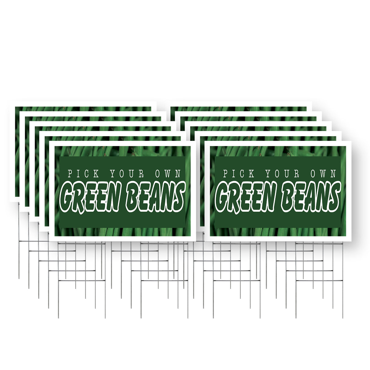 Pick Your Own Green Beans