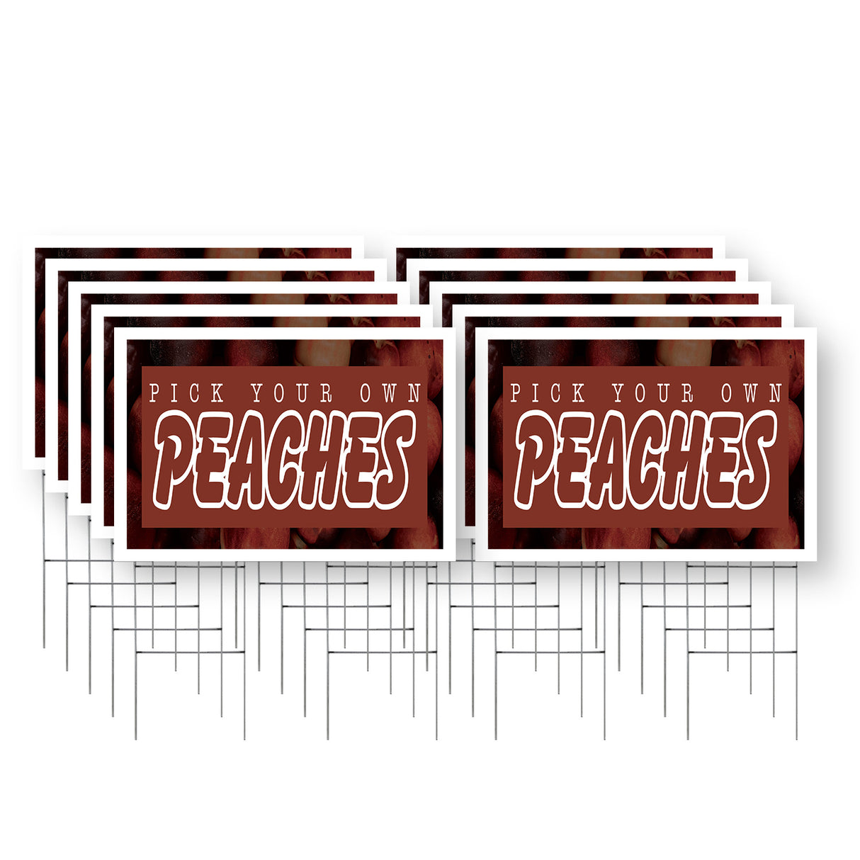 Pick Your Own Peaches