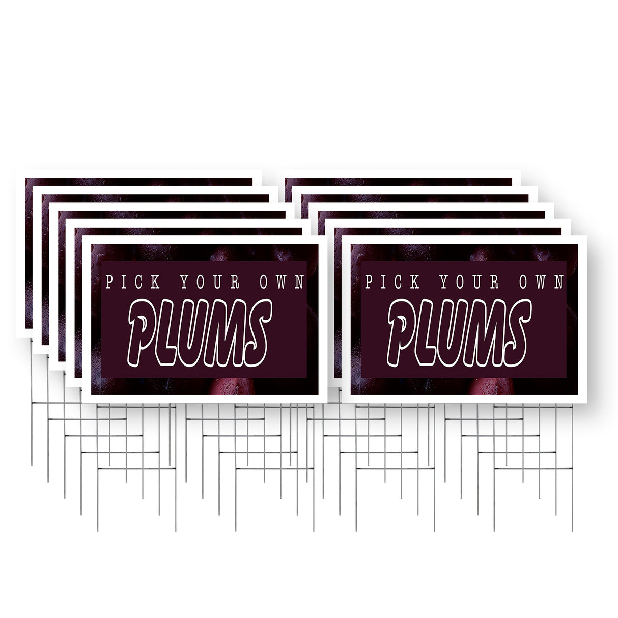 Pick Your Own Plums