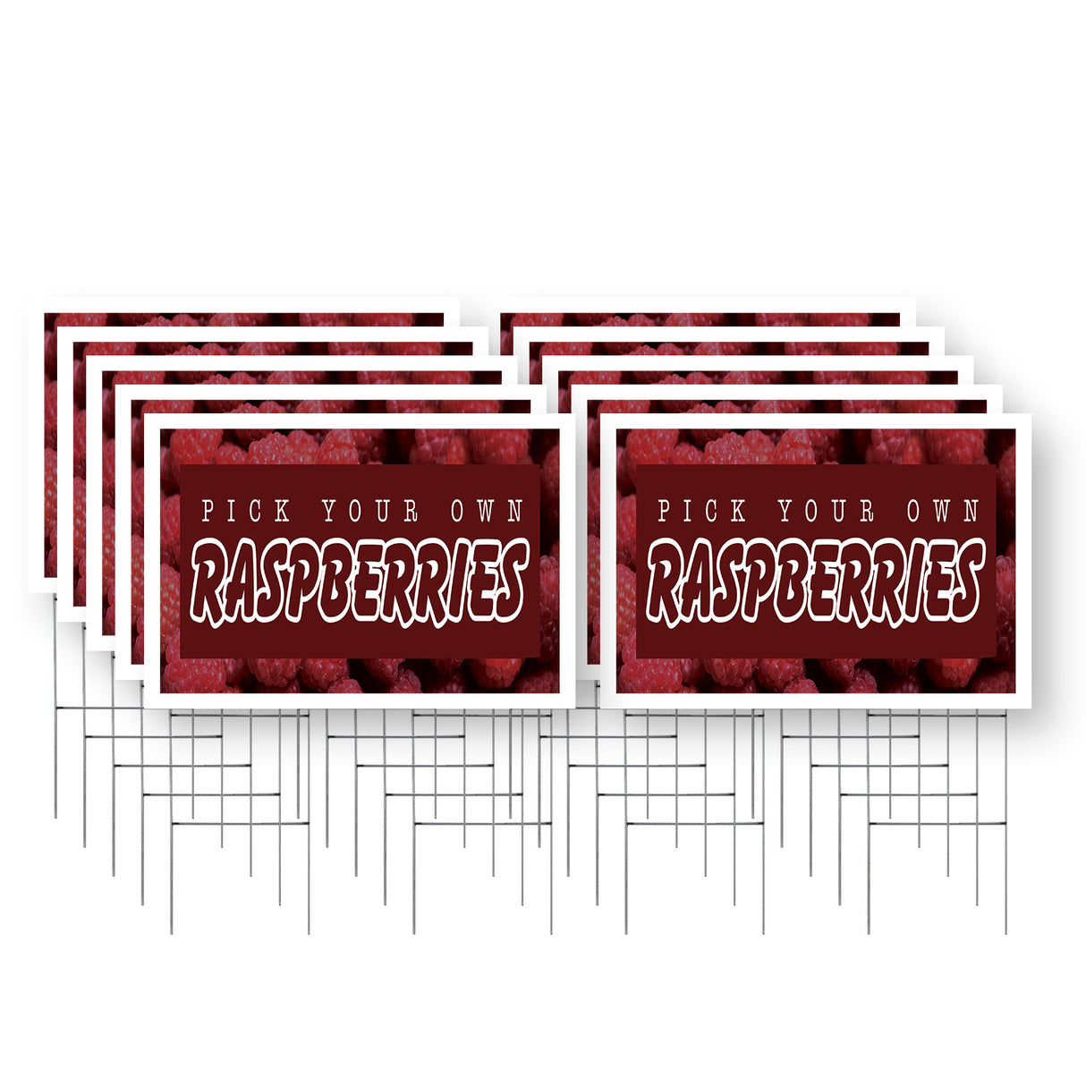 Pick Your Own Raspberries