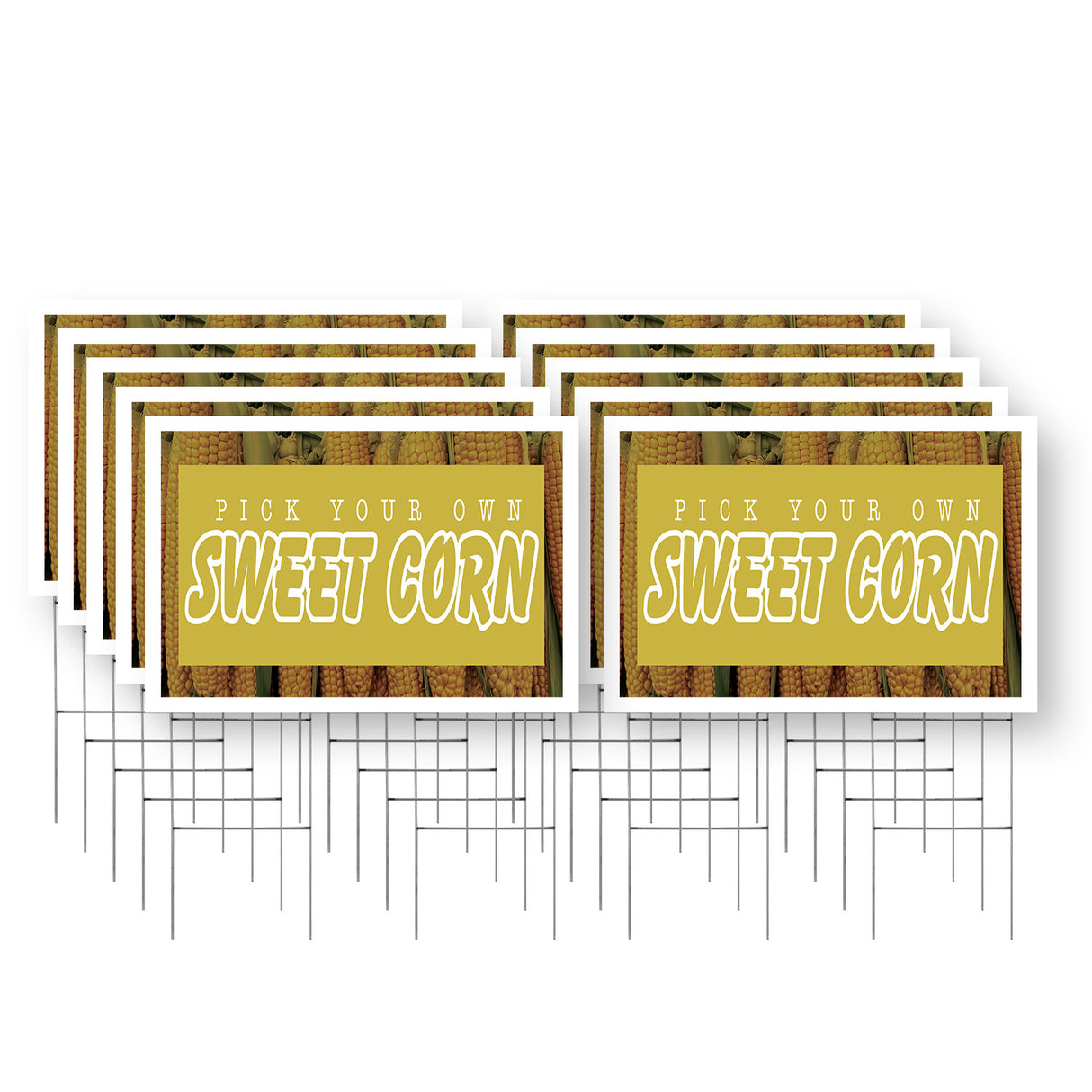 Pick Your Own Sweet Corn