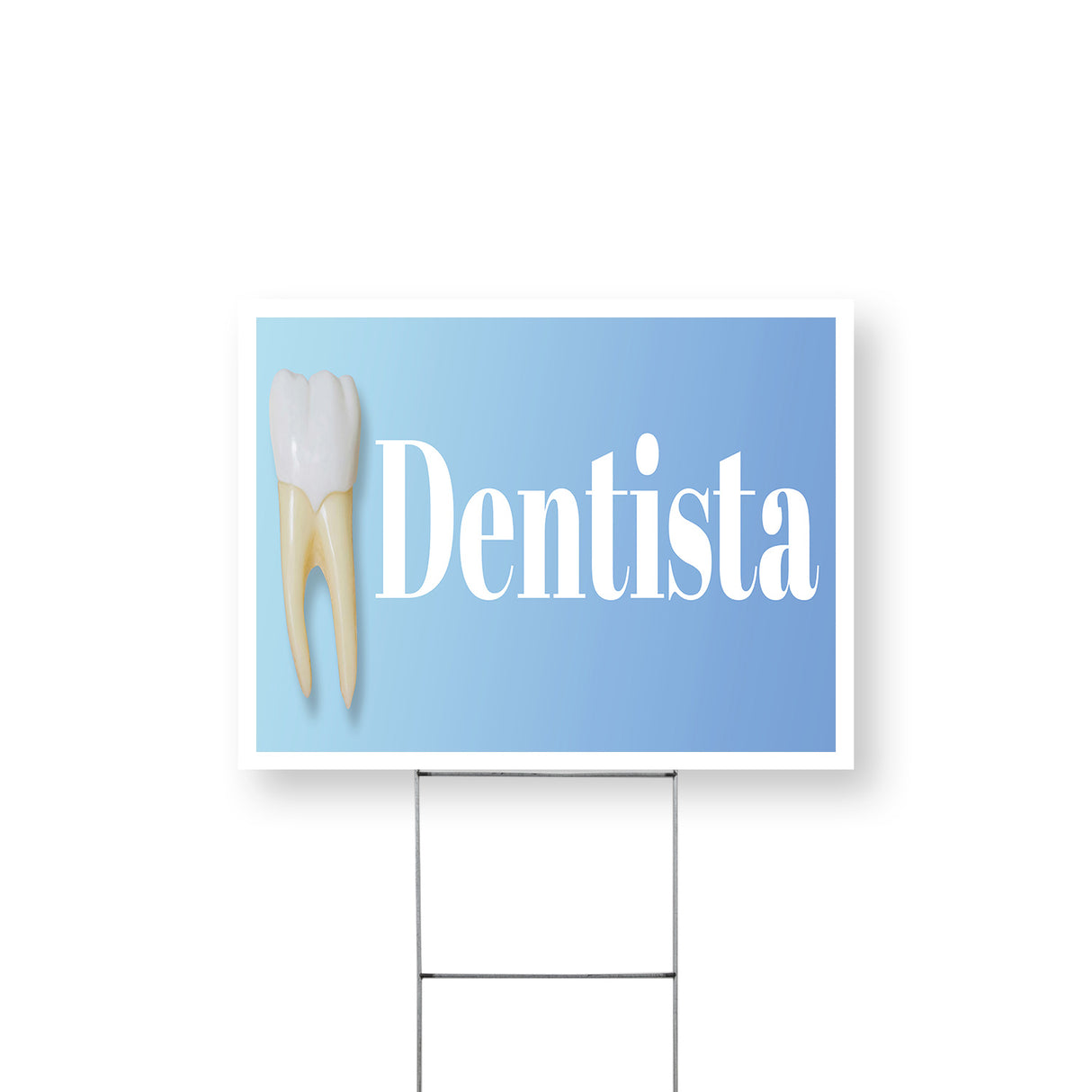 Dentista