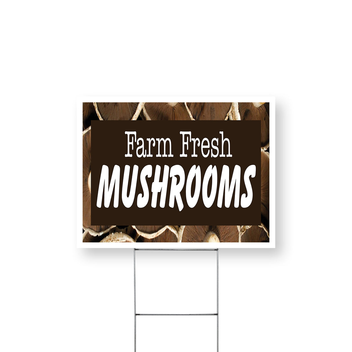 Farm Fresh Mushrooms