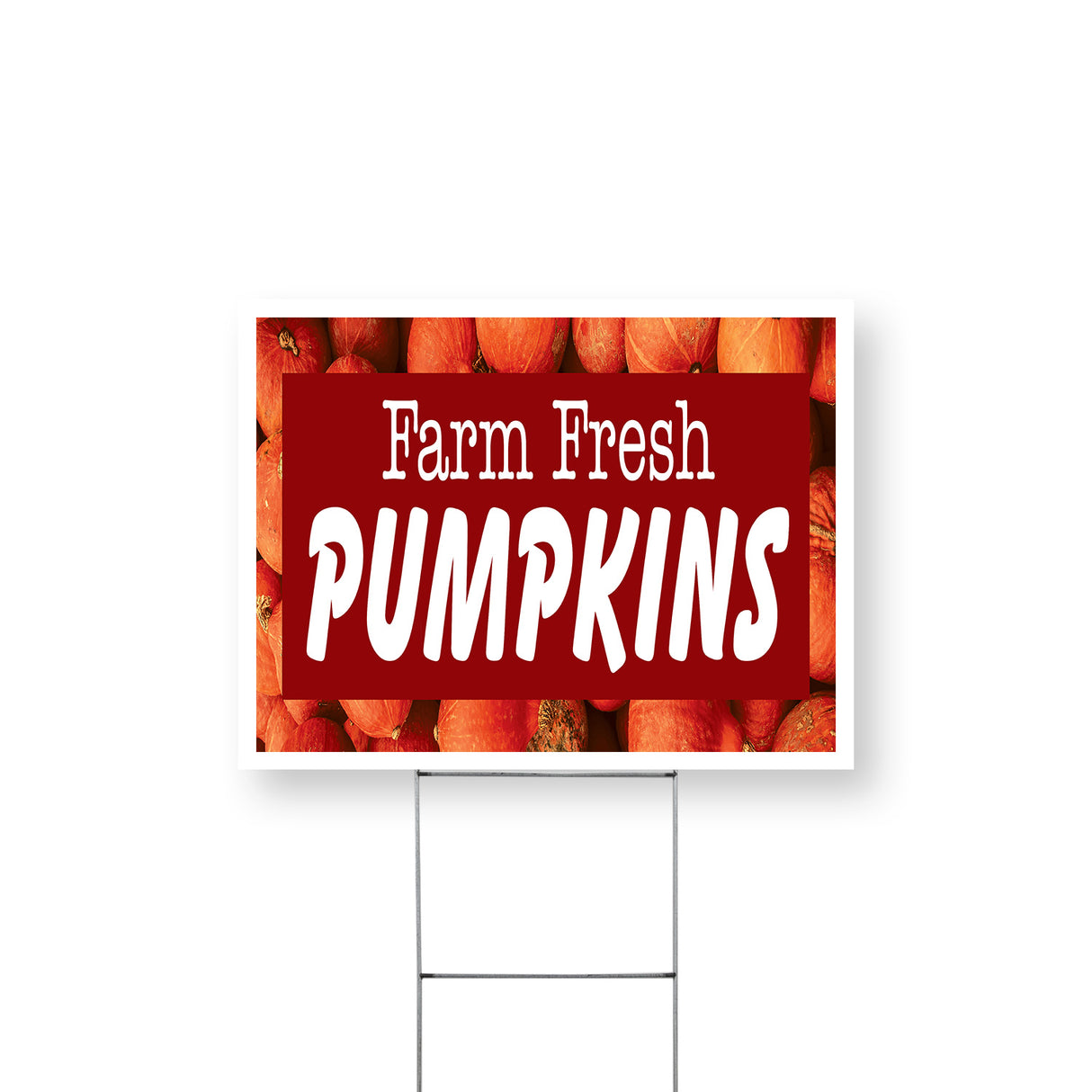 Farm Fresh Pumpkins