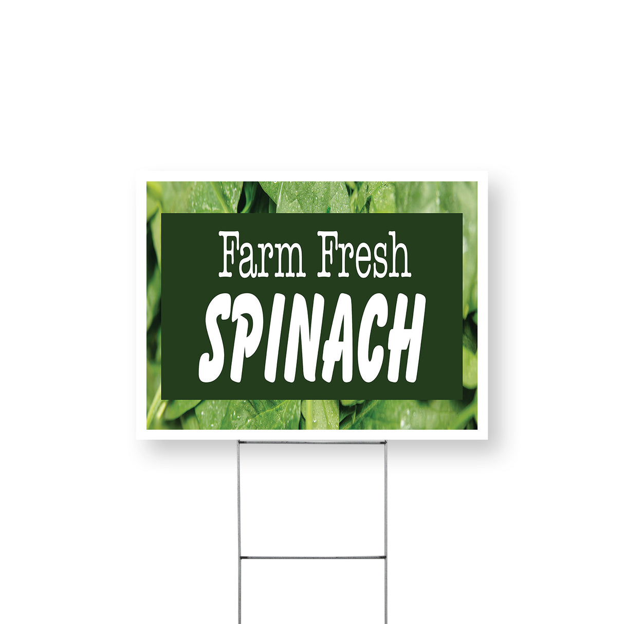 Farm Fresh Spinach