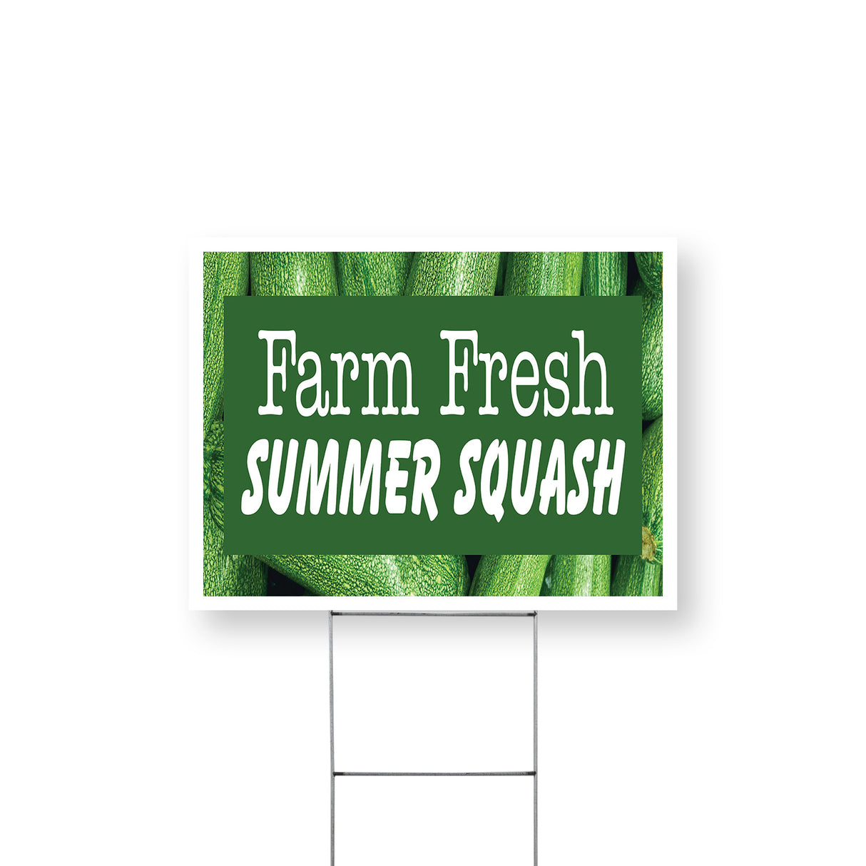 Farm Fresh Summer Squash