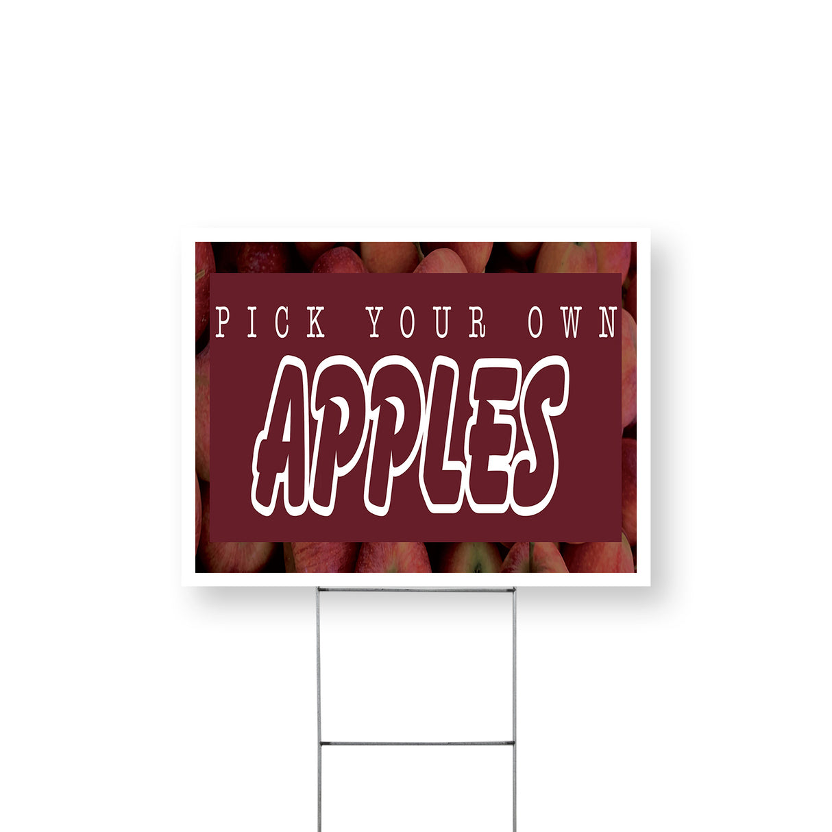 Pick Your Own Apples