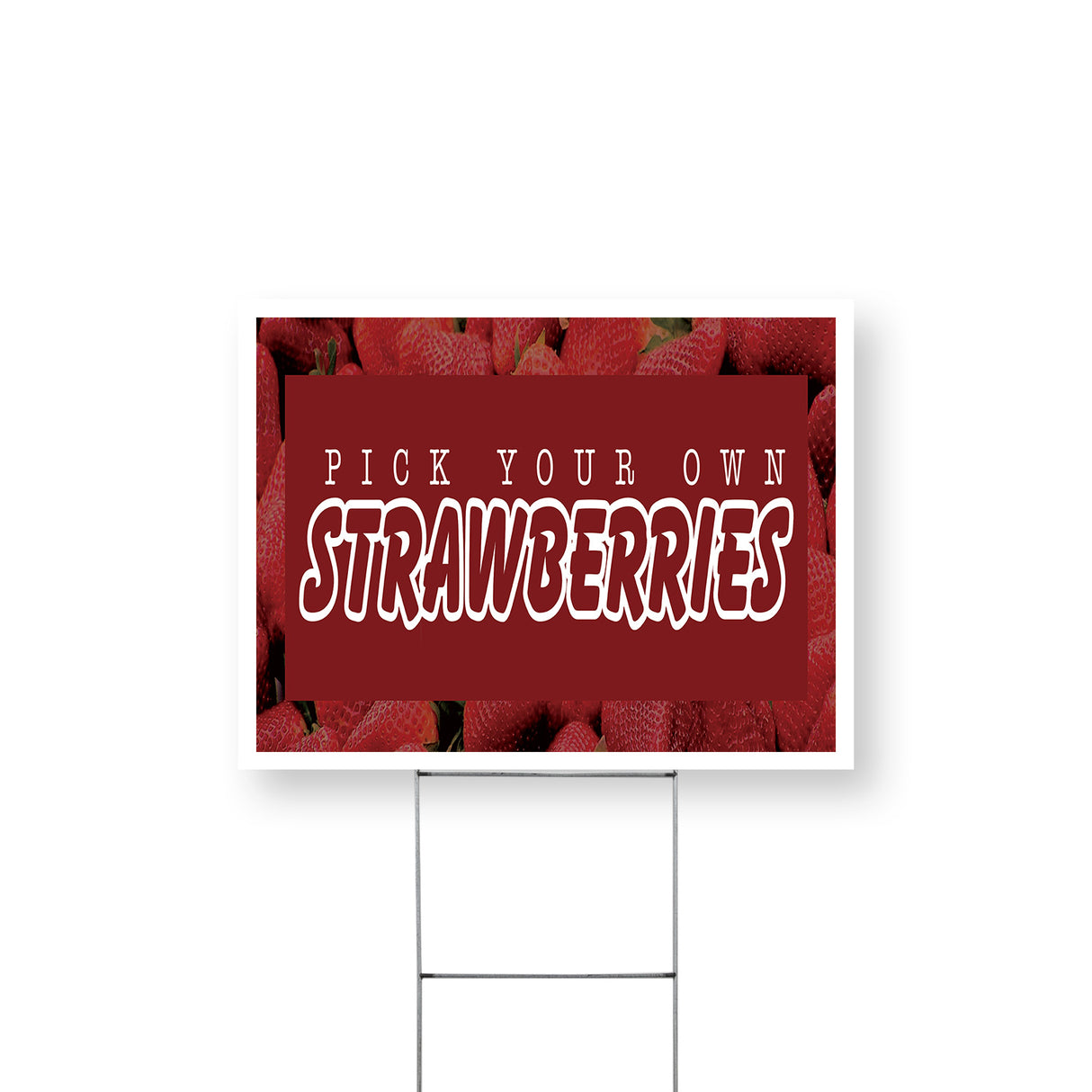 Pick Your Own Strawberries