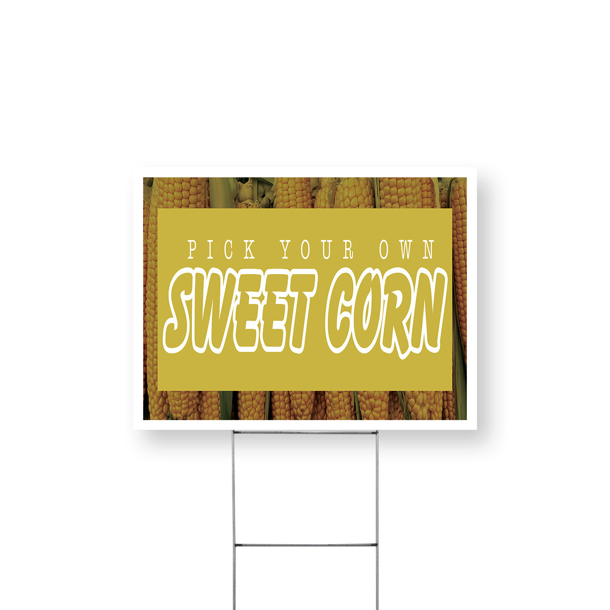Pick Your Own Sweet Corn