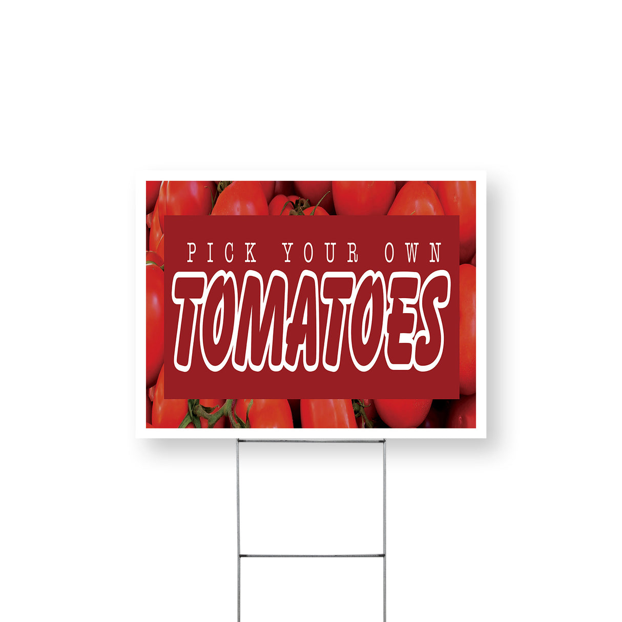 Pick Your Own Tomatoes