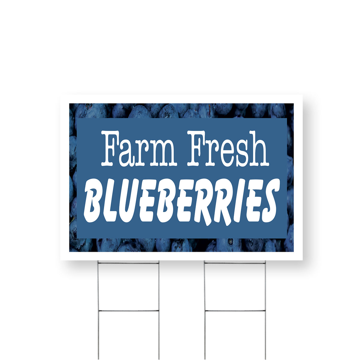 Farm Fresh Blueberries
