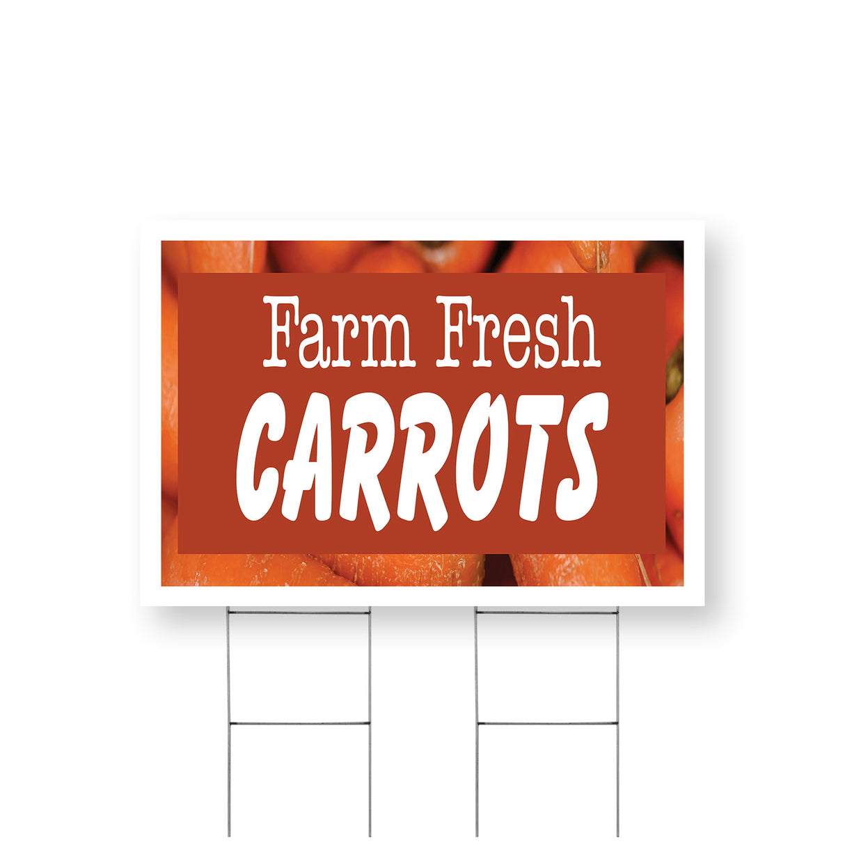 Farm Fresh Carrots