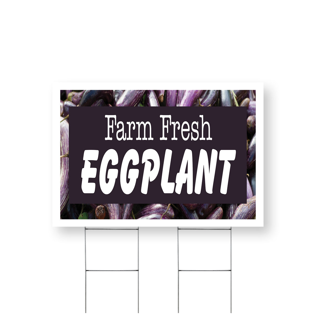 Farm Fresh Eggplant