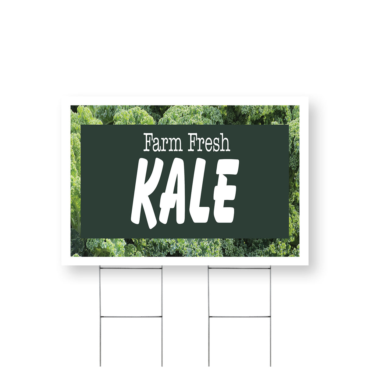 Farm Fresh Kale