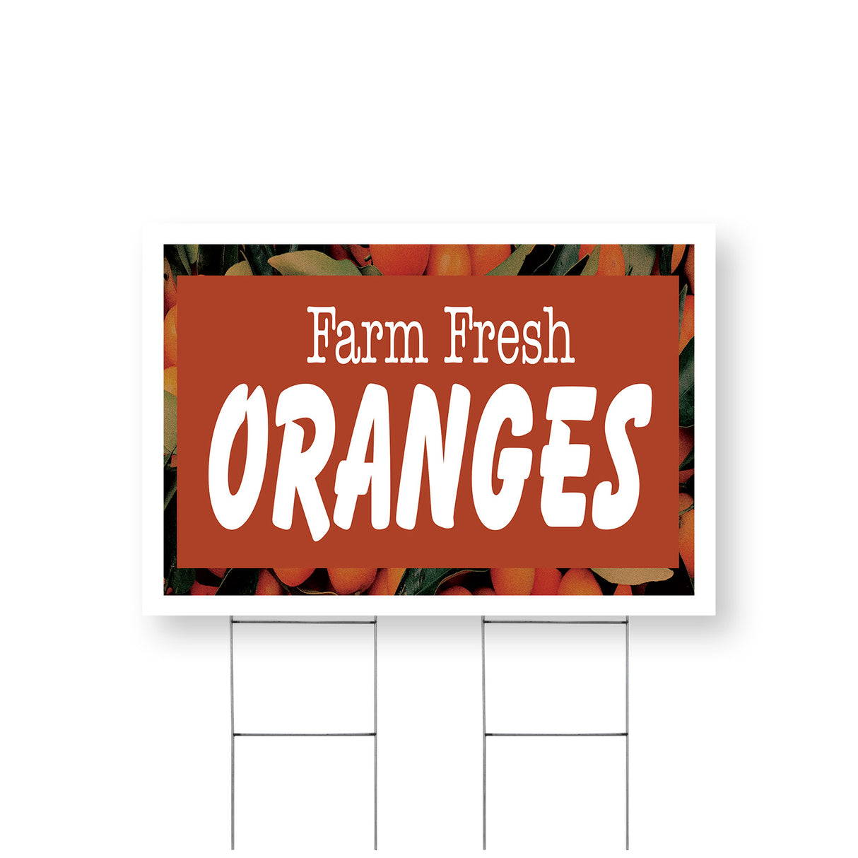 Farm Fresh Oranges