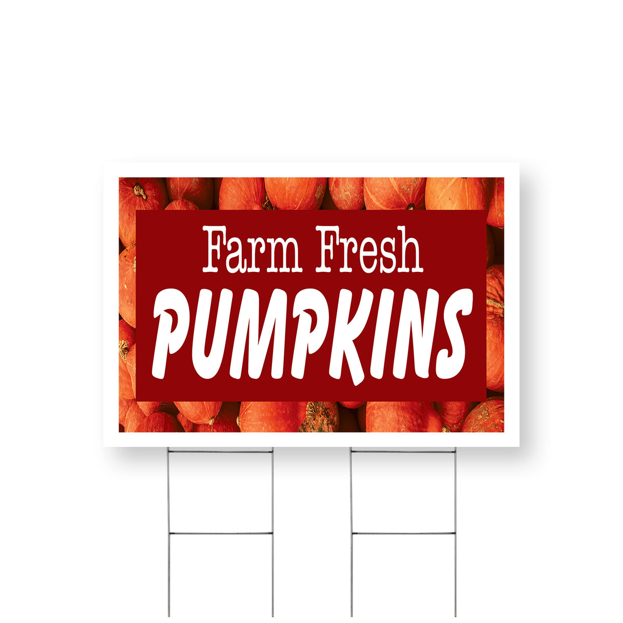 Farm Fresh Pumpkins