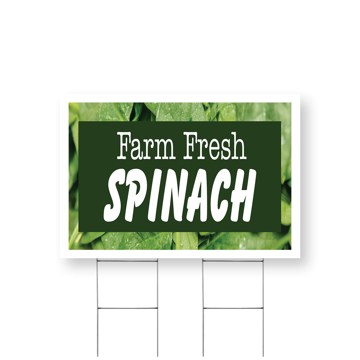 Farm Fresh Spinach