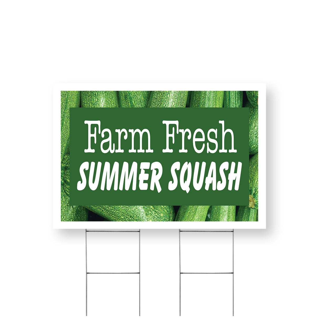 Farm Fresh Summer Squash