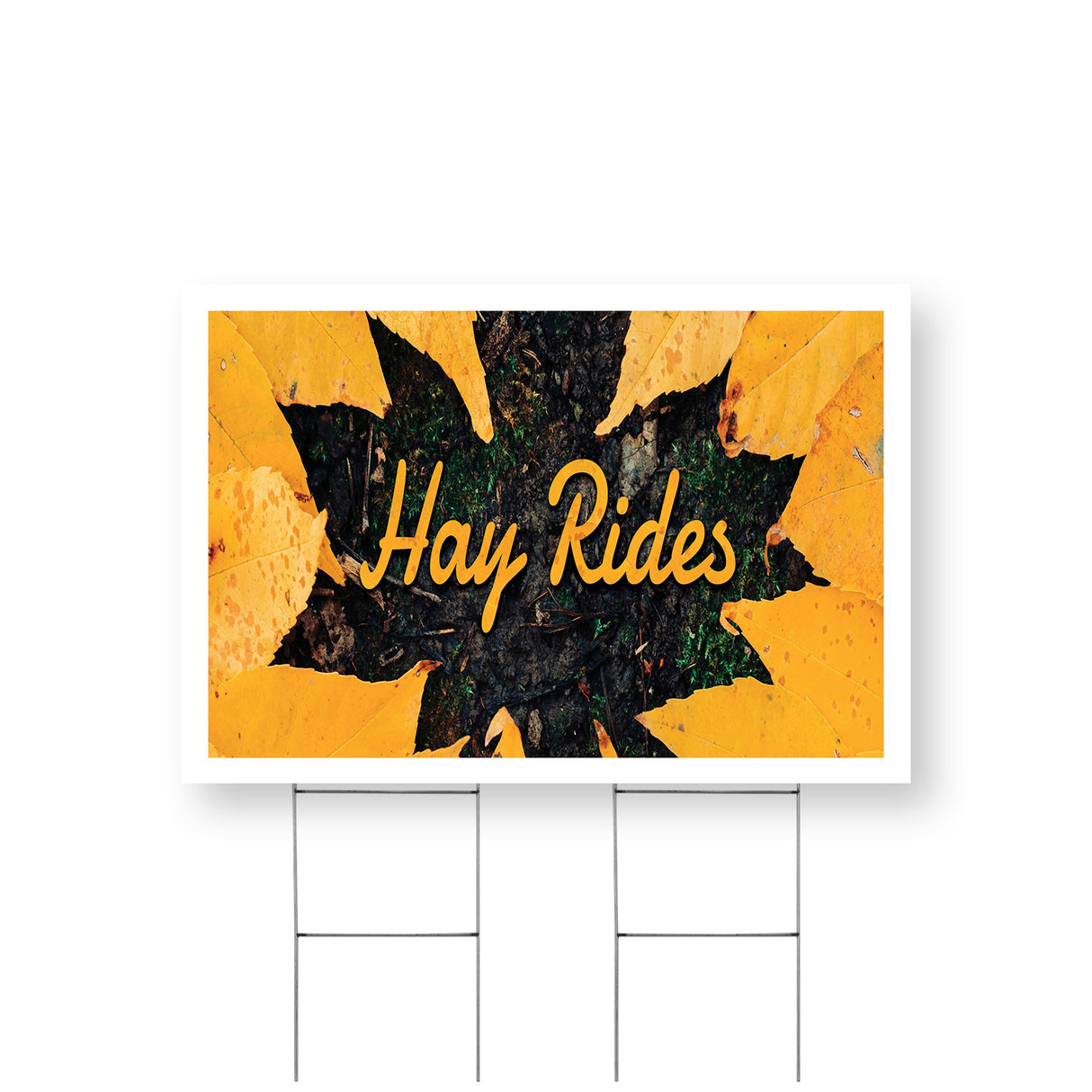 Hay Rides