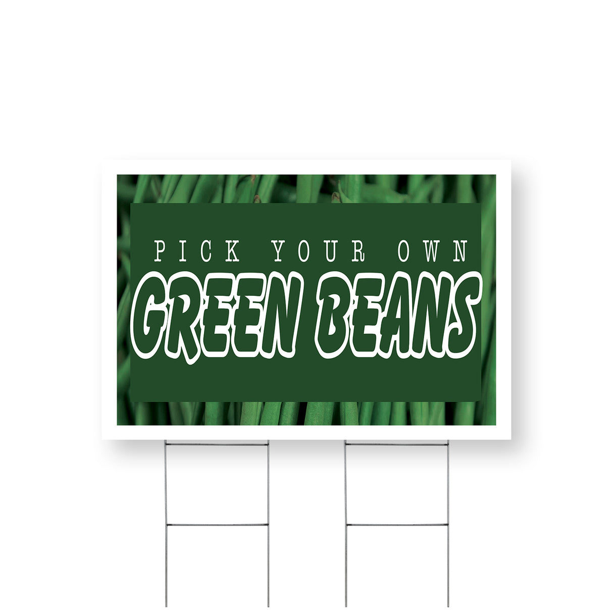 Pick Your Own Green Beans